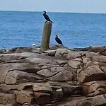 Le Relais Du Phare Gæstehus