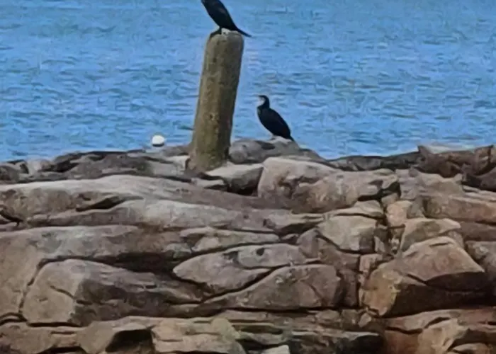 Le Relais Du Phare Affittacamere